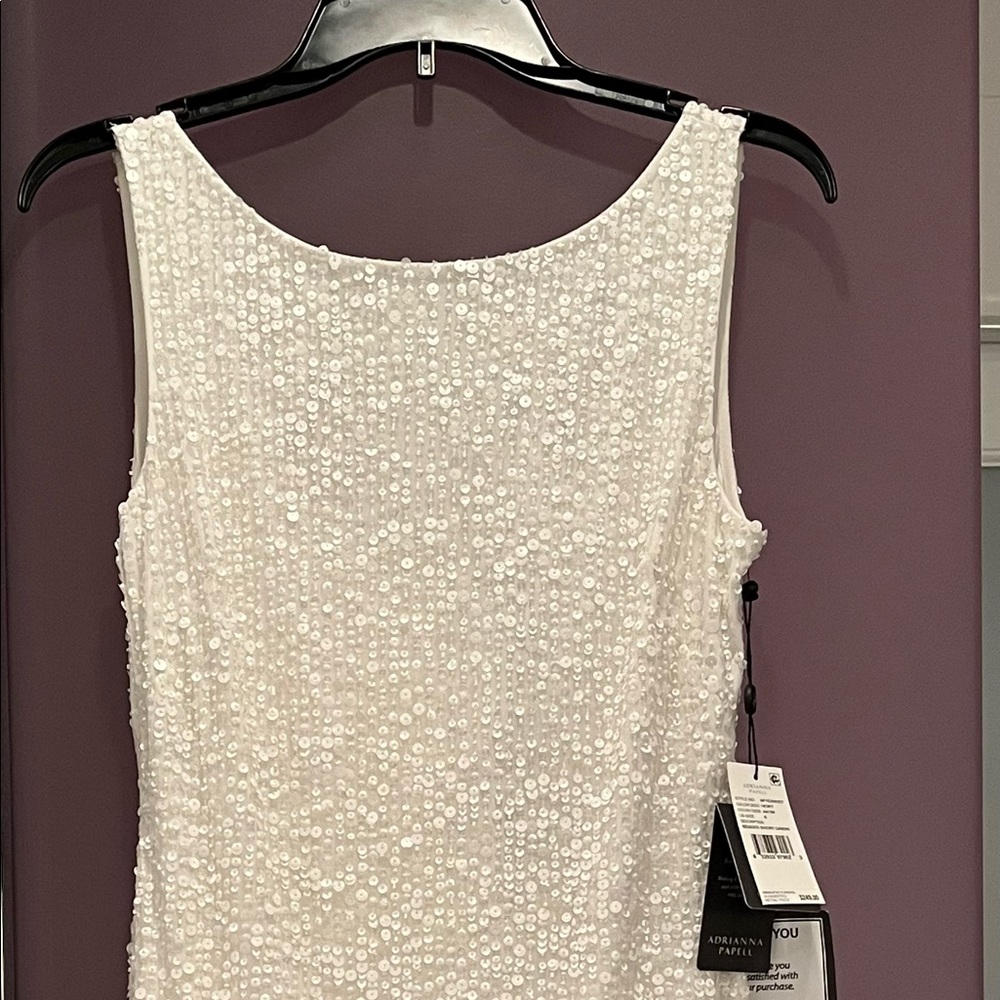 NWT Adrianna Papell size 6 beaded dress